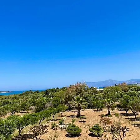 Santa Maria-sophia *
